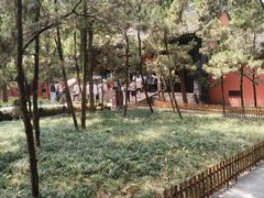 -茶去咖啡屋(武侯祠店)