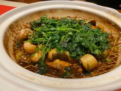 砂锅焗鮰鱼-毗陵醉·黑钻(湖塘店)
