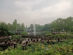 -成飞公园