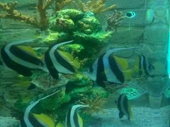 -乌鲁木齐海洋馆