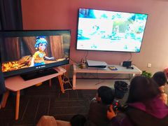 -浣熊部落ps4 ps5 switch 电玩(茶店子店)