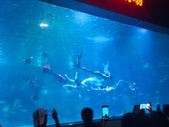 -福州罗源湾海洋世界旅游区