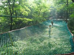 -原山国家森林公园