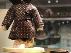 -济州岛泰迪熊博物馆