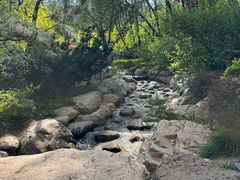 -大连植物园