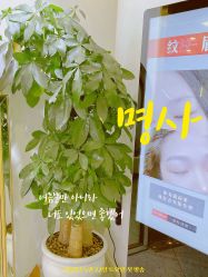 -禹彤绣苑·机器野生眉纹眉