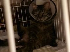 -天津前进宠物医院(前进道店)