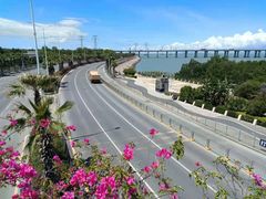 -宝安西湾红树林湿地公园