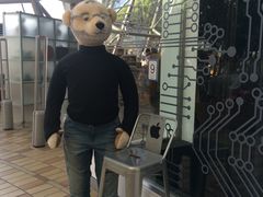 -济州岛泰迪熊博物馆