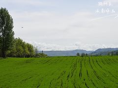-新疆那拉提国家旅游度假区
