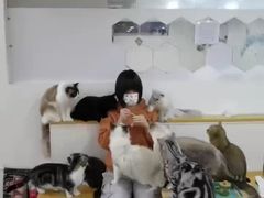 -李小姐の猫咖啡馆(五角场店)