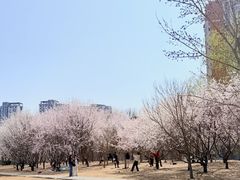 -太阳宫公园