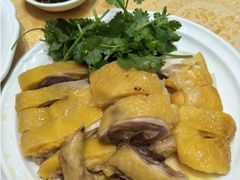 -瑞记湛江鸡饭店·粤西第一鸡(粤垦店)
