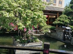 -猪肉婆私房菜(容桂总店)