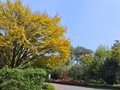 -铁山坪森林公园