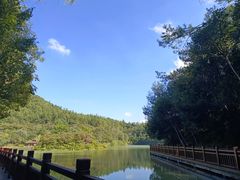 -广州白江湖森林公园