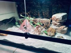 -Rabbit Cafe私房西餐甜点咖啡(栖霞路店)