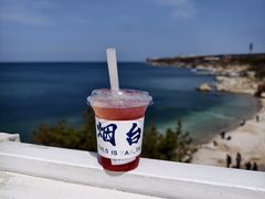 -海岛日记(养马岛店)