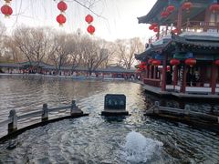 -百脉泉景区