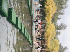 -杨柳青庄园