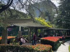 -华山儿童公园