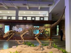-自贡恐龙博物馆