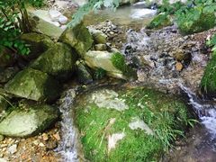 -藏龙百瀑风景区