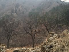 照片-北京山里寒舍度假酒店