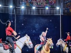 -深圳野生动物园