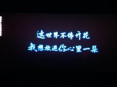 -璇宫国际影城(江汉路店)