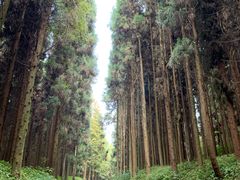 -山王坪喀斯特国家生态公园
