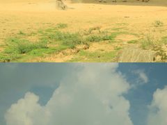 -杭州野生动物世界