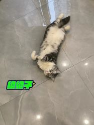 -倩极·精研痘敏肌管理