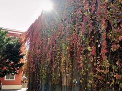 -辽宁大学(崇山校区)