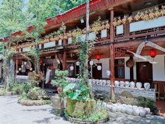 -青城甲(青城山店)