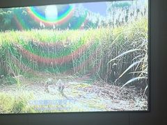 -华夏良子·足道SPA艾灸(翠微店)