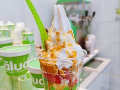 -Salud撒露欧洲冻酸奶(蓝色港湾店)