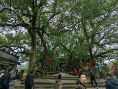-蒋氏故居