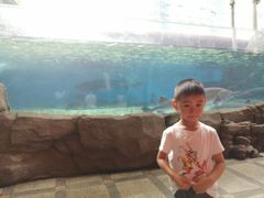 -成都浩海立方海洋公园