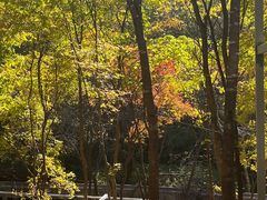 -帽儿山风景区