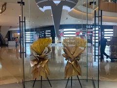 -TESLA 特斯拉(北京颐堤港体验店)