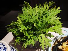 -京韵胡同·酱香羊蝎子火锅涮肉(长寿路店)