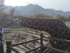 -西安秦岭野生动物园