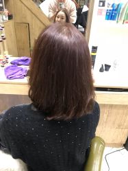 点击看大图 -环球蝶上美业连锁