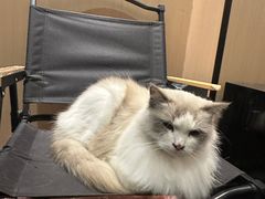 -大玩家(平江万达店)