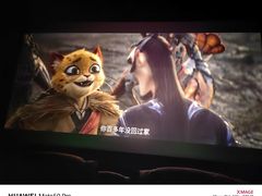 -万达影城(锦华万达广场IMAX店)
