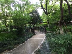-新湖明珠城