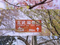 -鸡鸣寺