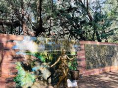 -北海金海湾红树林生态旅游区