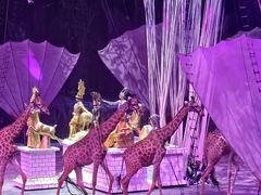 -广州长隆国际大马戏